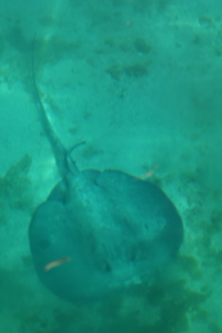 DSC01895