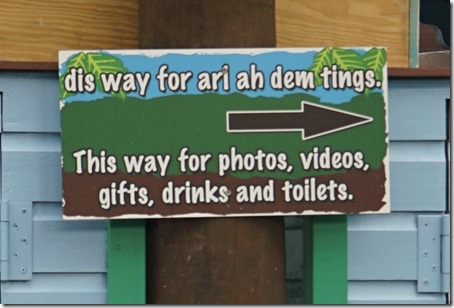 DSC05099