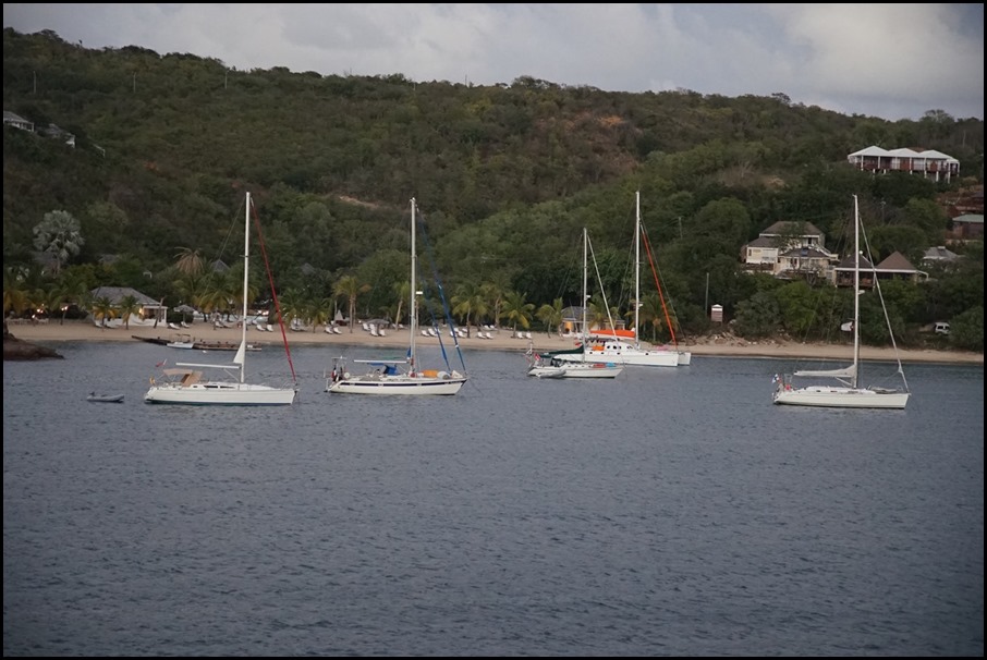 DSC05111