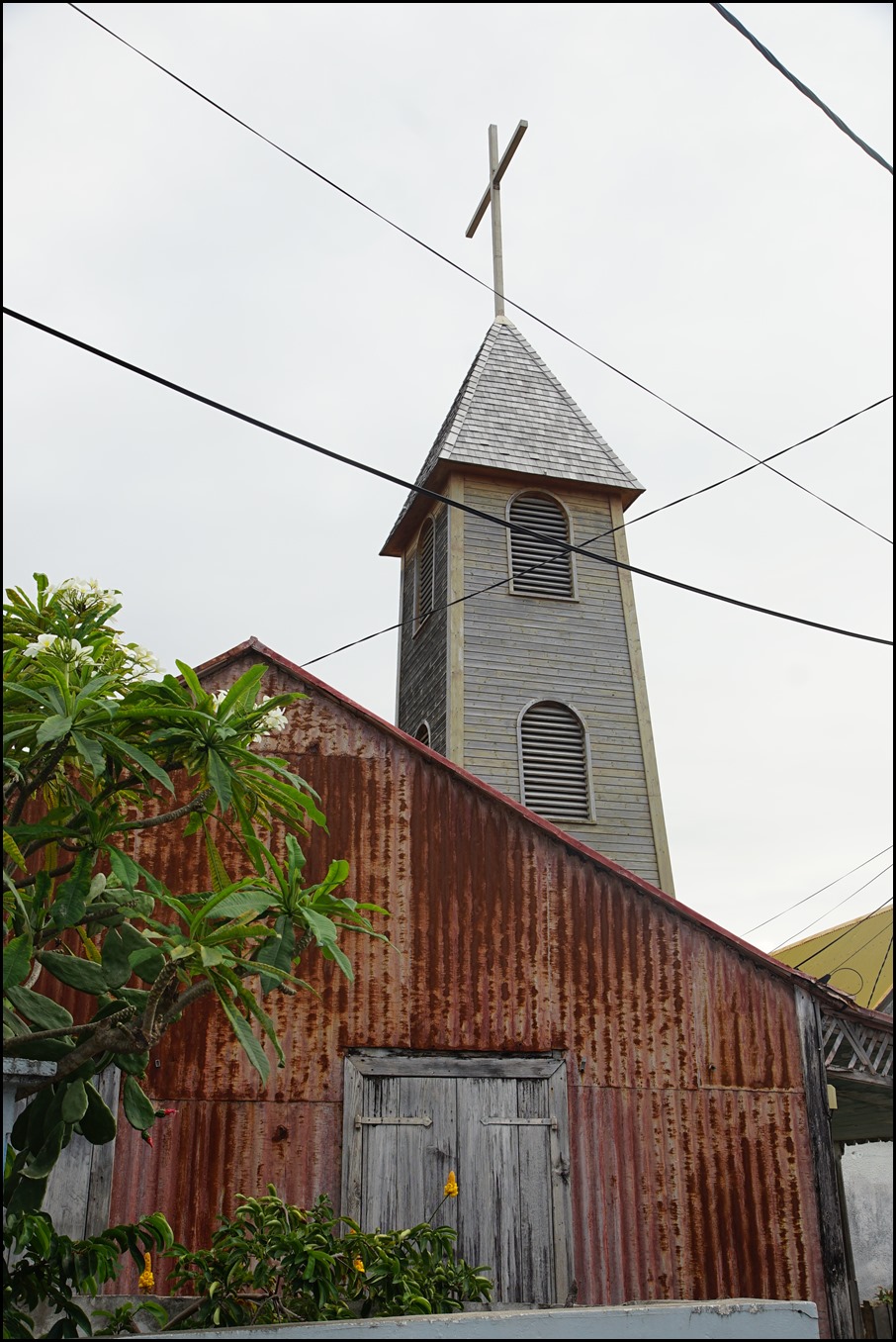 DSC05237