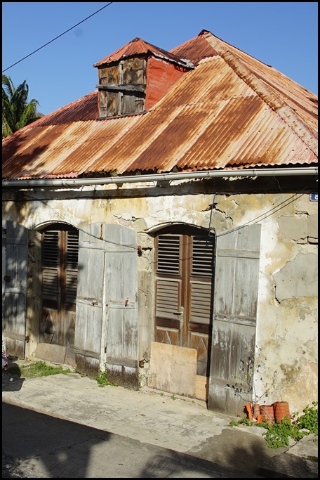 DSC05254