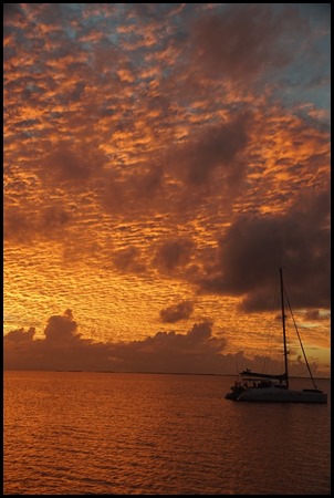 DSC07545