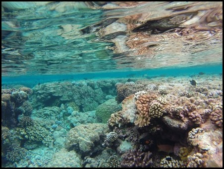 G0050266