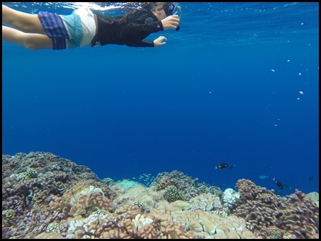 GOPR0249