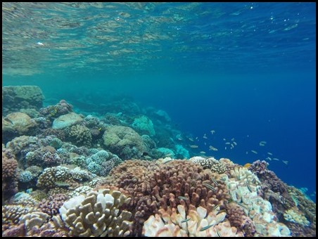 GOPR0255