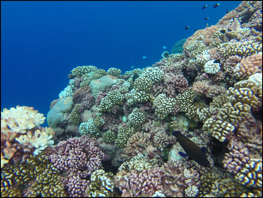 GOPR0258