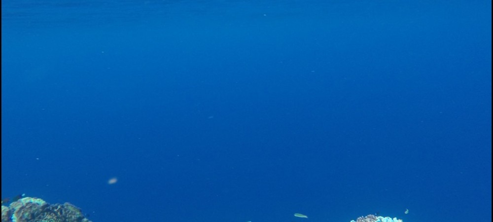 GOPR02961_thumb.jpg