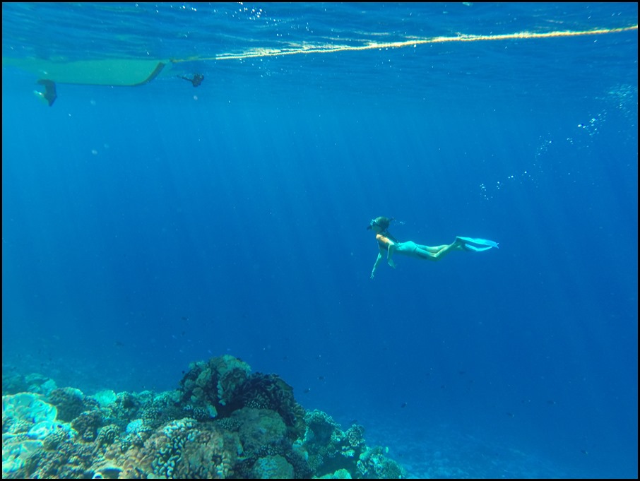GOPR0342