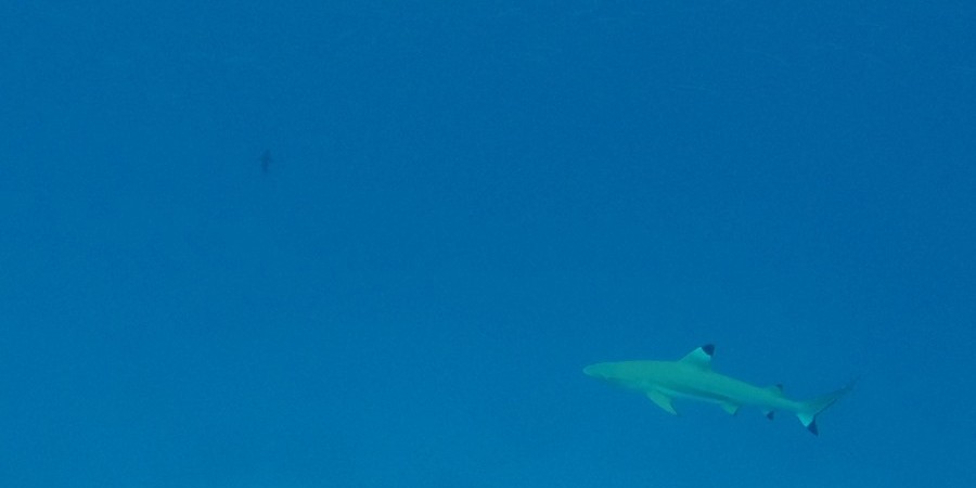 GOPR0478.jpg