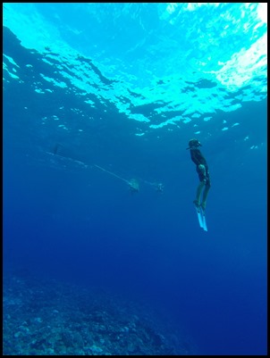 GOPR1231