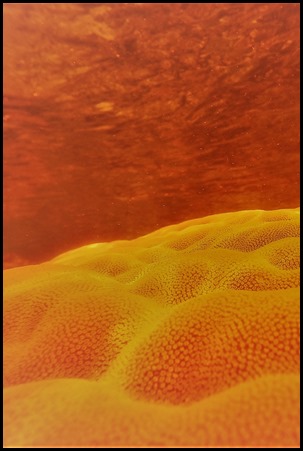GOPR4725enhanced