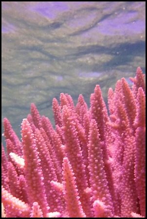 G0516289