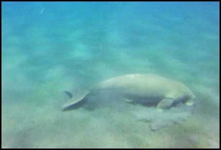 GOPR6182_Moment