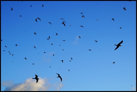 DSC03040