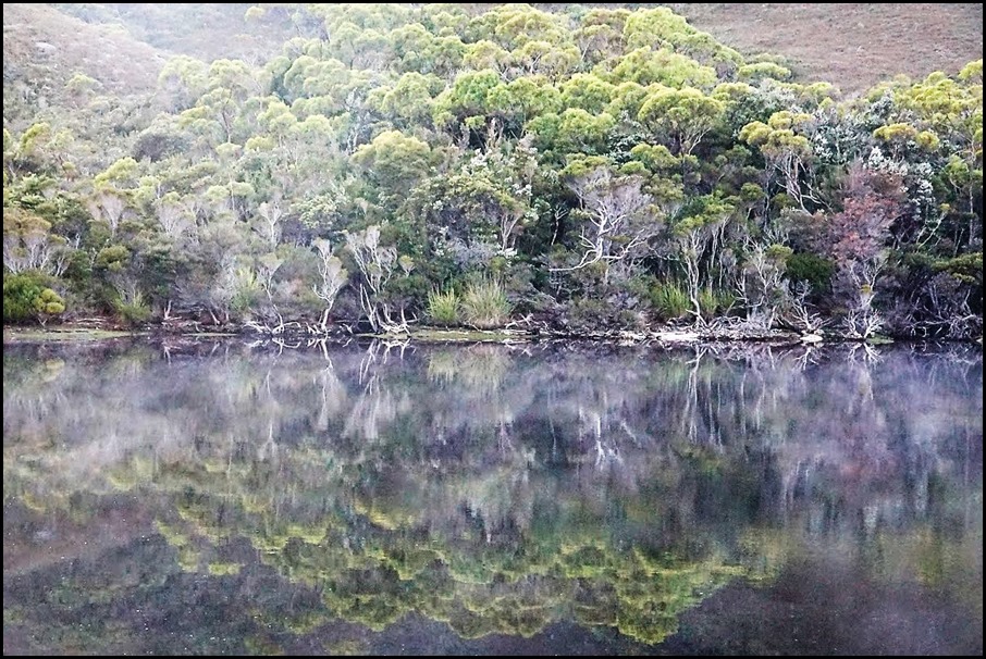 DSC06432